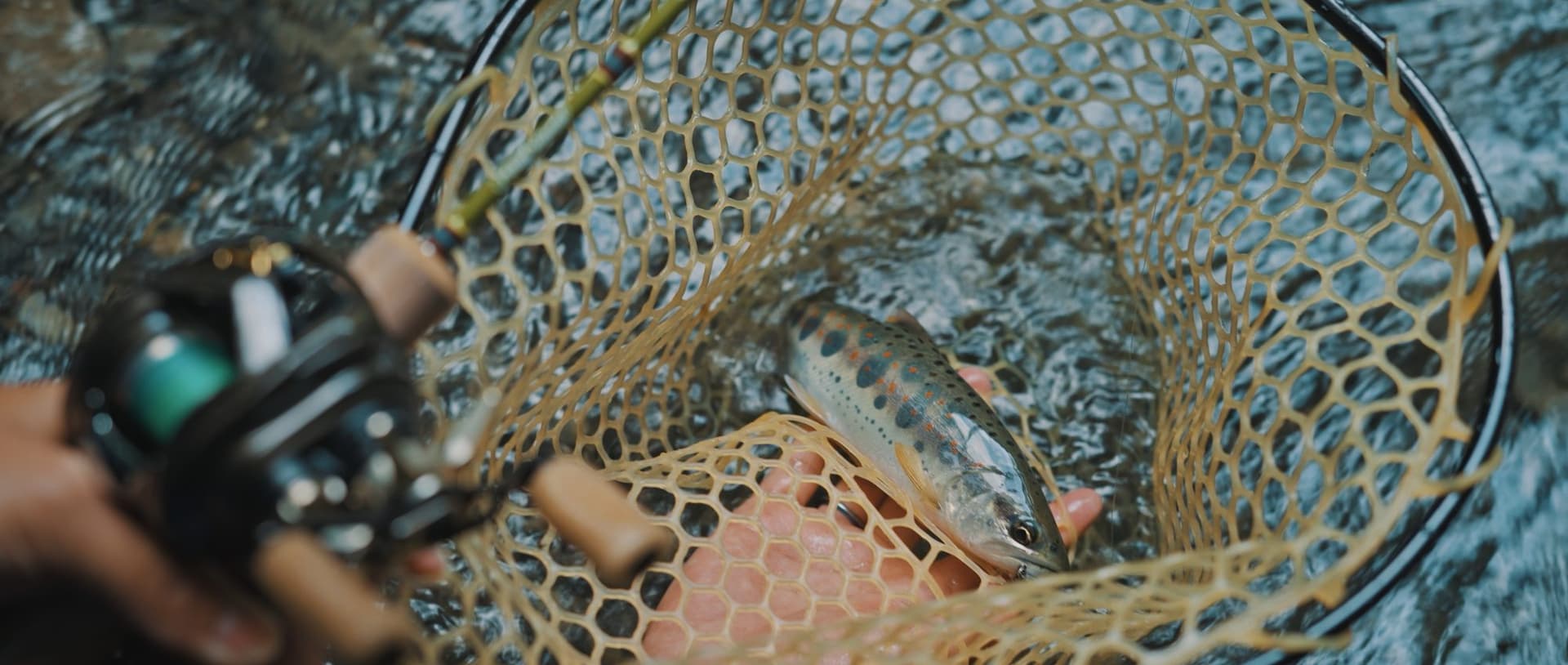 海部川 釣行案内 — HL Fishing Guide